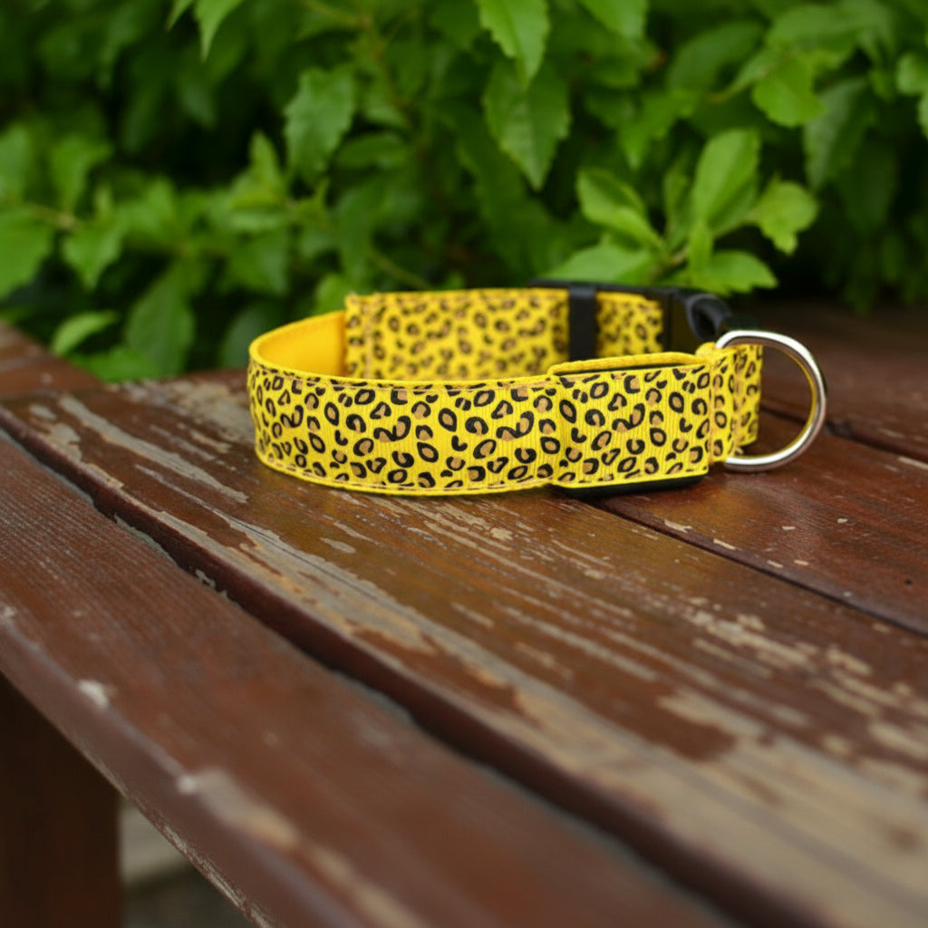 Petity LED Dog Collar Safety Rechargeable Adjustable Nylon Collar for Small & Medium Dogs