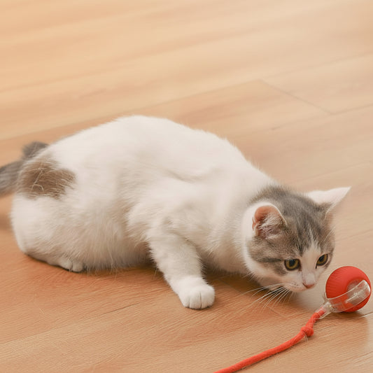 Petity Interactive Smart Rolling Ball Toy for Cats