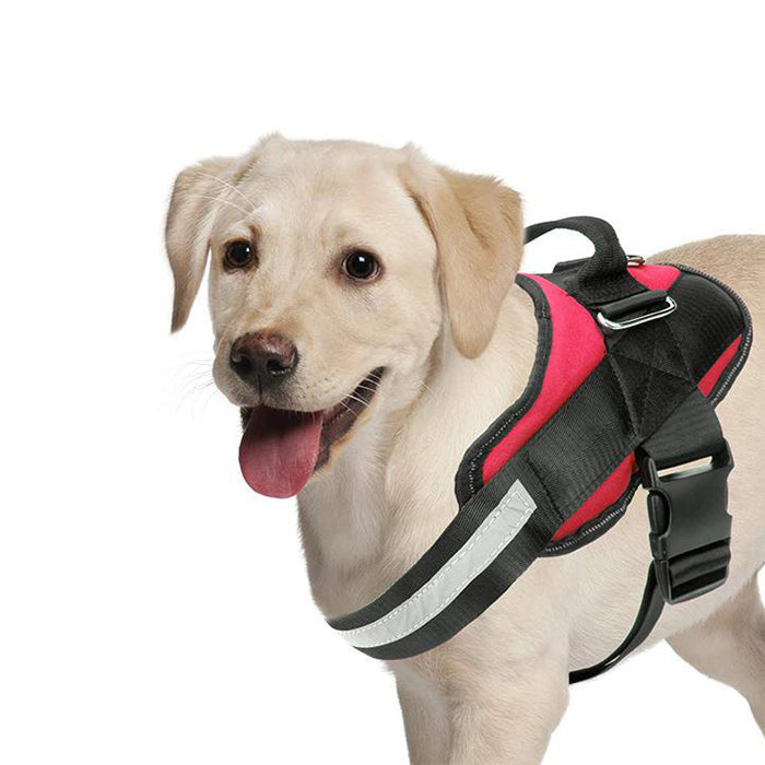 Safety & Comfort