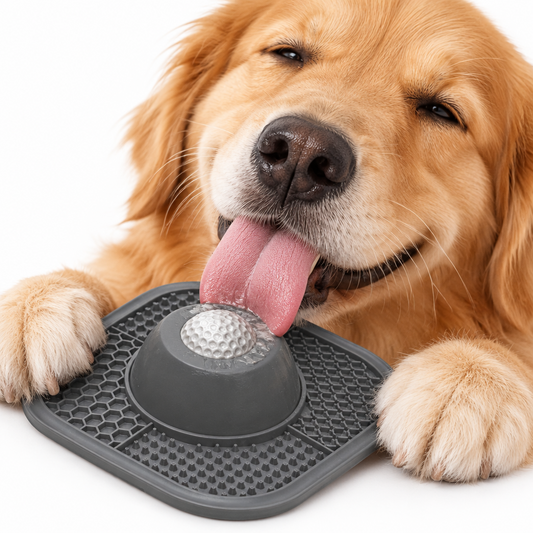 Petity 2-in-1 Slow Feeder & Lick Bowl