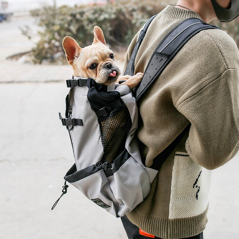 Petity Dog Carrier Backpack