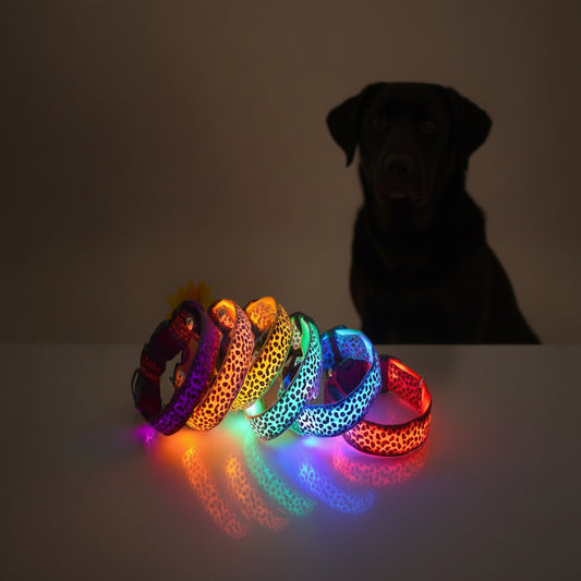 Petity LED Dog Collar Safety Rechargeable Adjustable Nylon Collar for Small & Medium Dogs