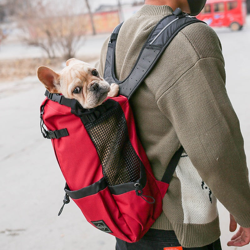 Petity Dog Carrier Backpack