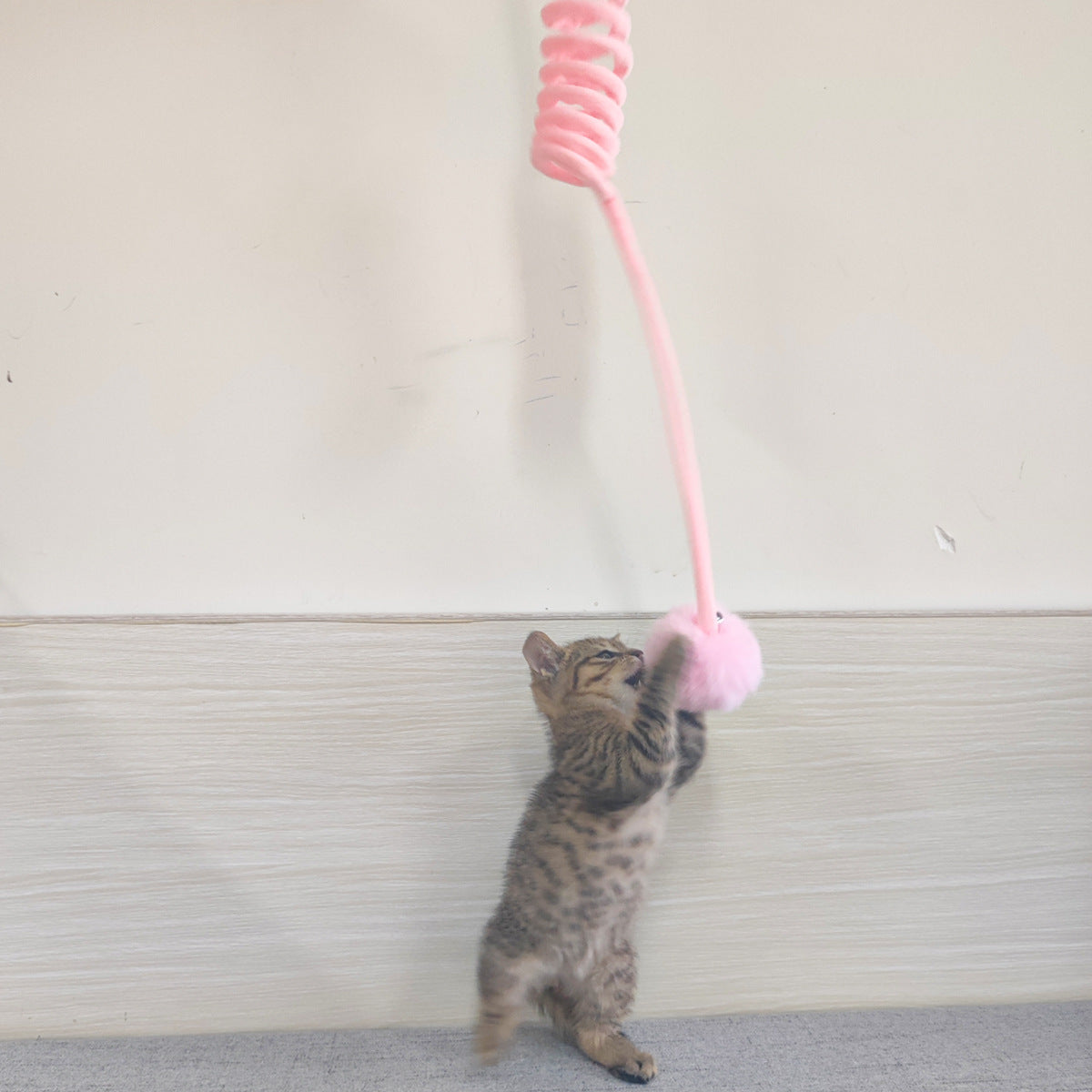Petity Cat Spring Toy