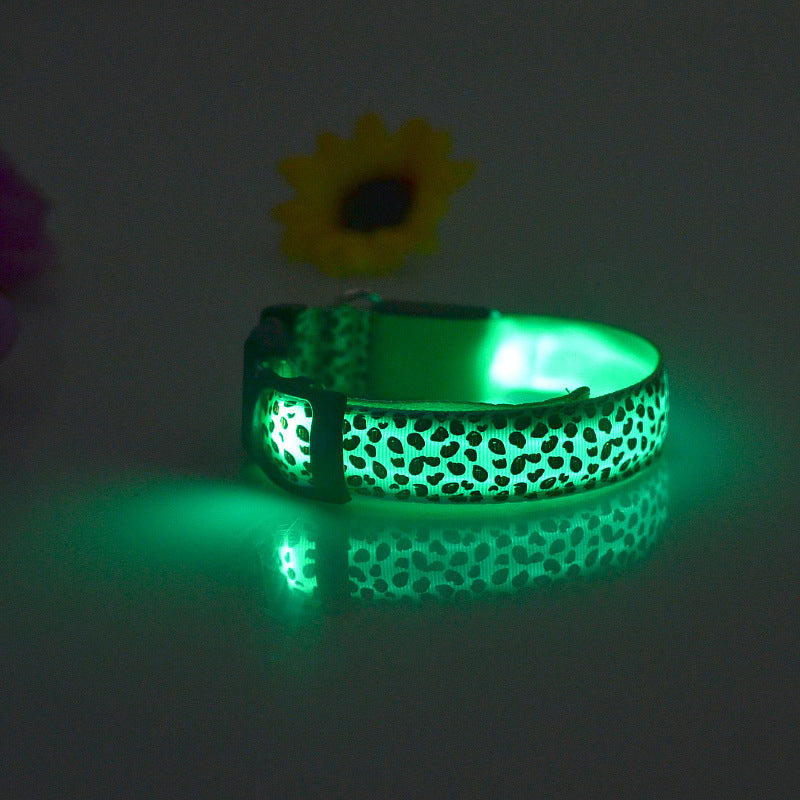 Petity LED Dog Collar