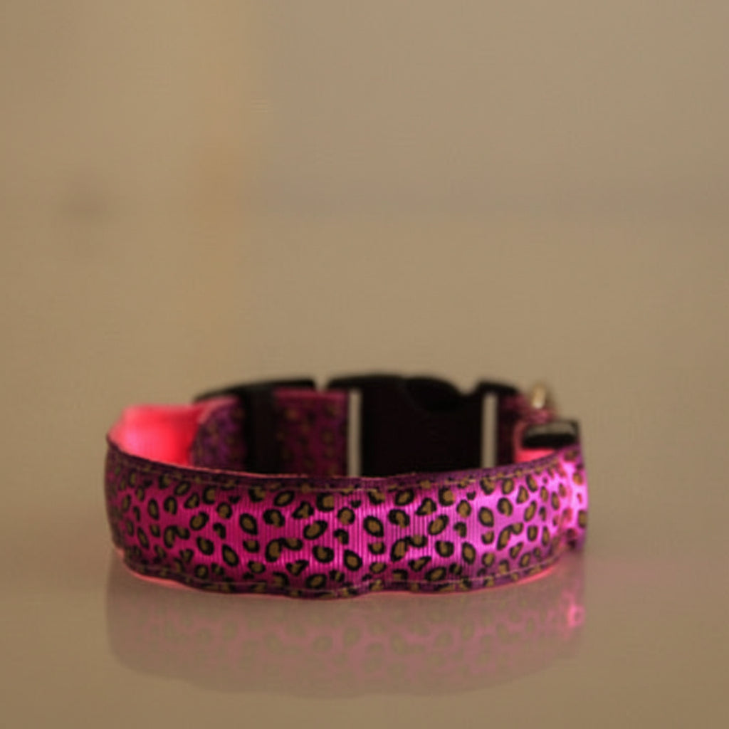 Petity LED Dog Collar Safety Rechargeable Adjustable Nylon Collar for Small & Medium Dogs