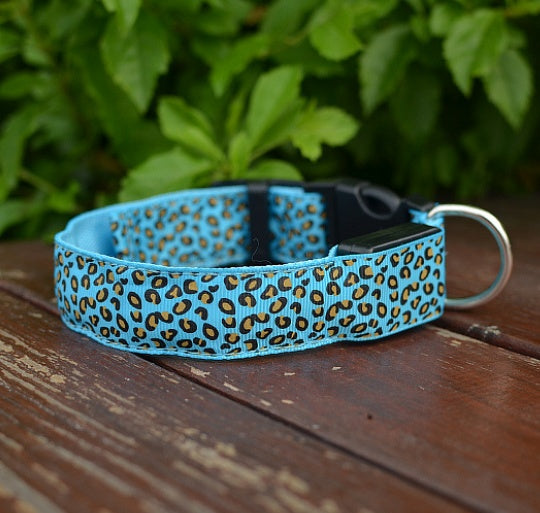 Petity LED Dog Collar