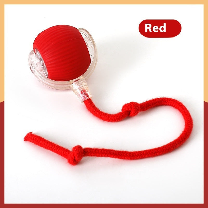 Petity Interactive Smart Rolling Ball Toy for Cats & Dogs