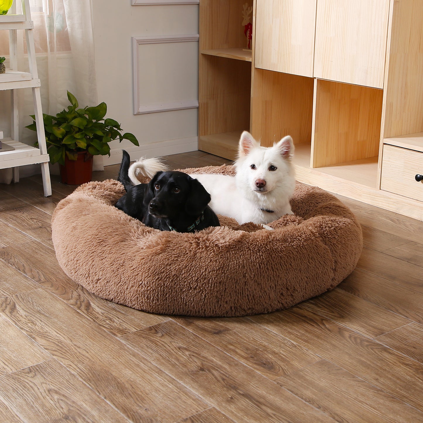 Petity Calming Donut Bed