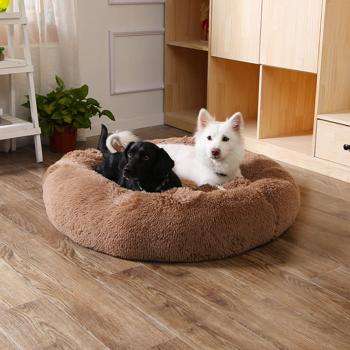 Petity Calming Donut Bed