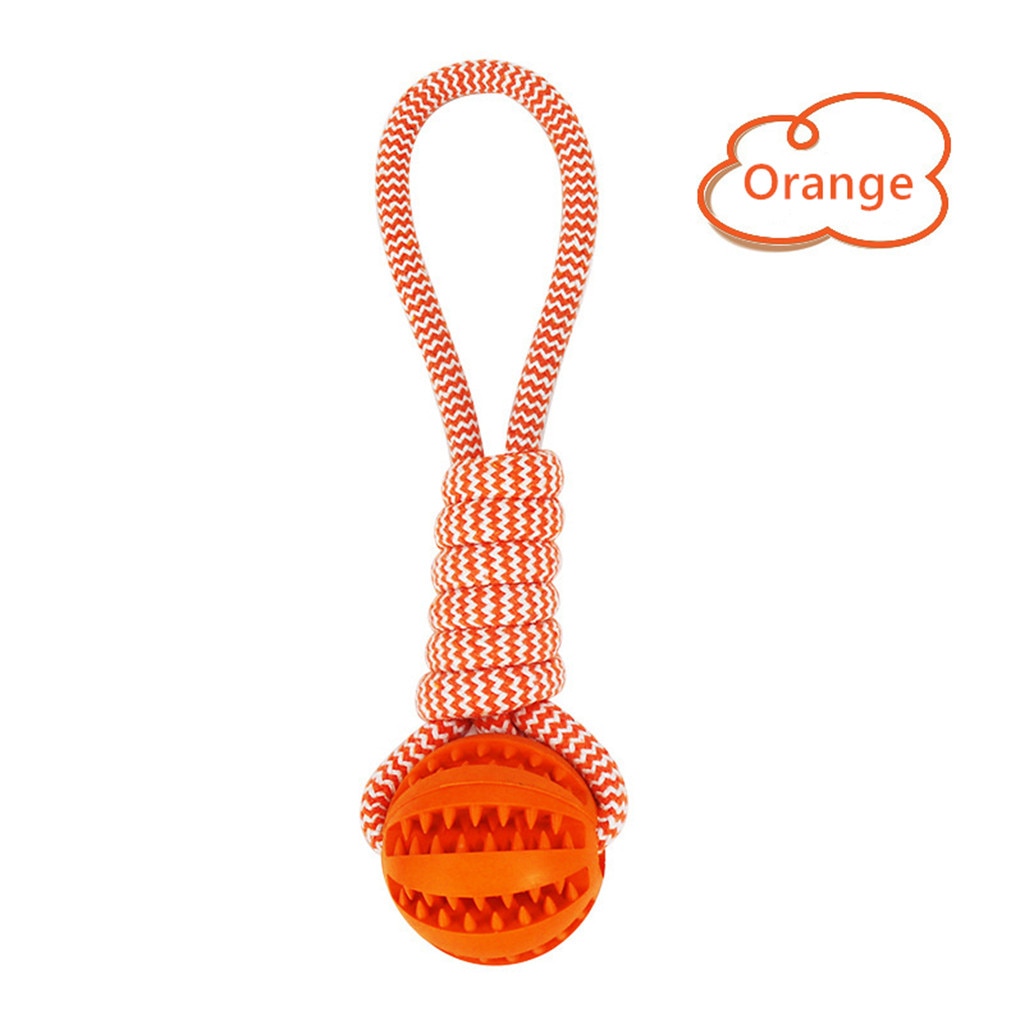 Petity Chew & Treat Ball