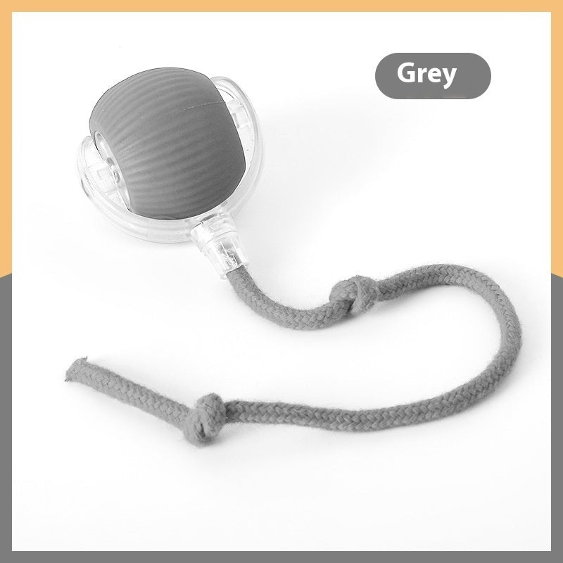 Petity Interactive Smart Rolling Ball Toy for Cats & Dogs