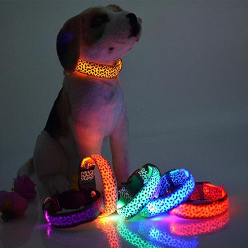 Petity LED Dog Collar Safety Rechargeable Adjustable Nylon Collar for Small & Medium Dogs