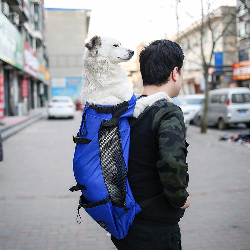 Petity Dog Carrier Backpack – Comfortable Travel & Outdoor Pet Bag for Small to Medium Dogs