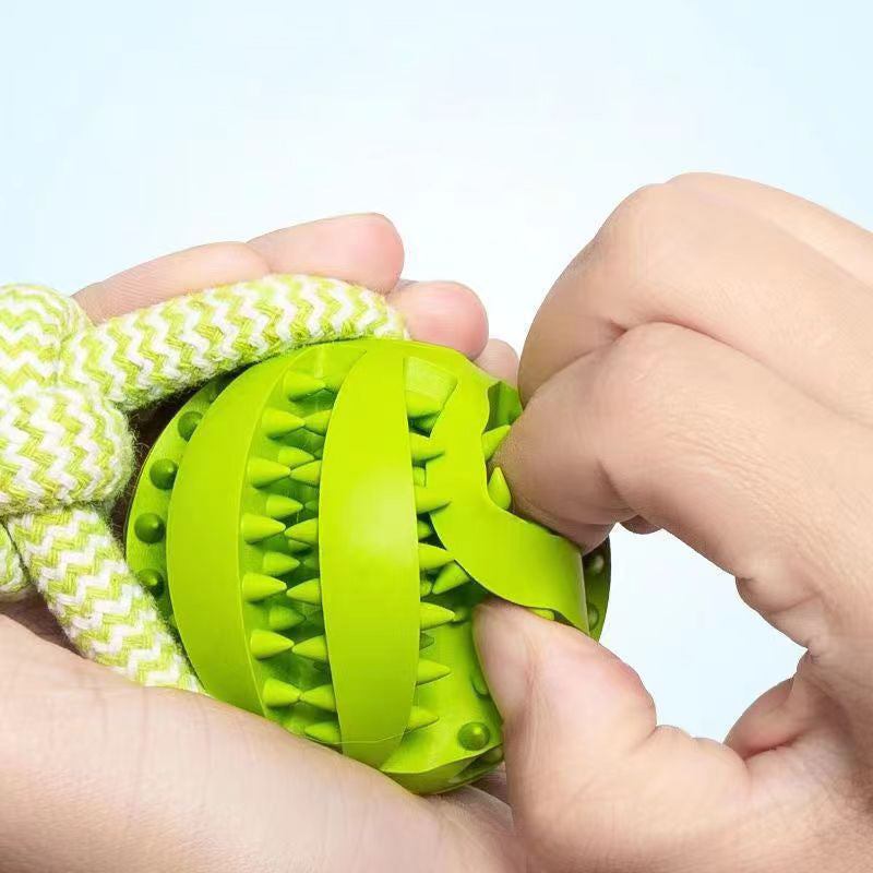 Petity Chew & Treat Ball