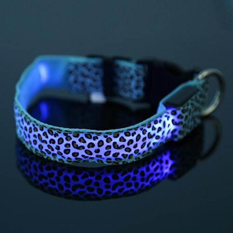 Petity LED Dog Collar Safety Rechargeable Adjustable Nylon Collar for Small & Medium Dogs