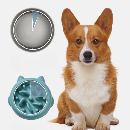 Petity Anti-Choking Slow Feeder Bowl