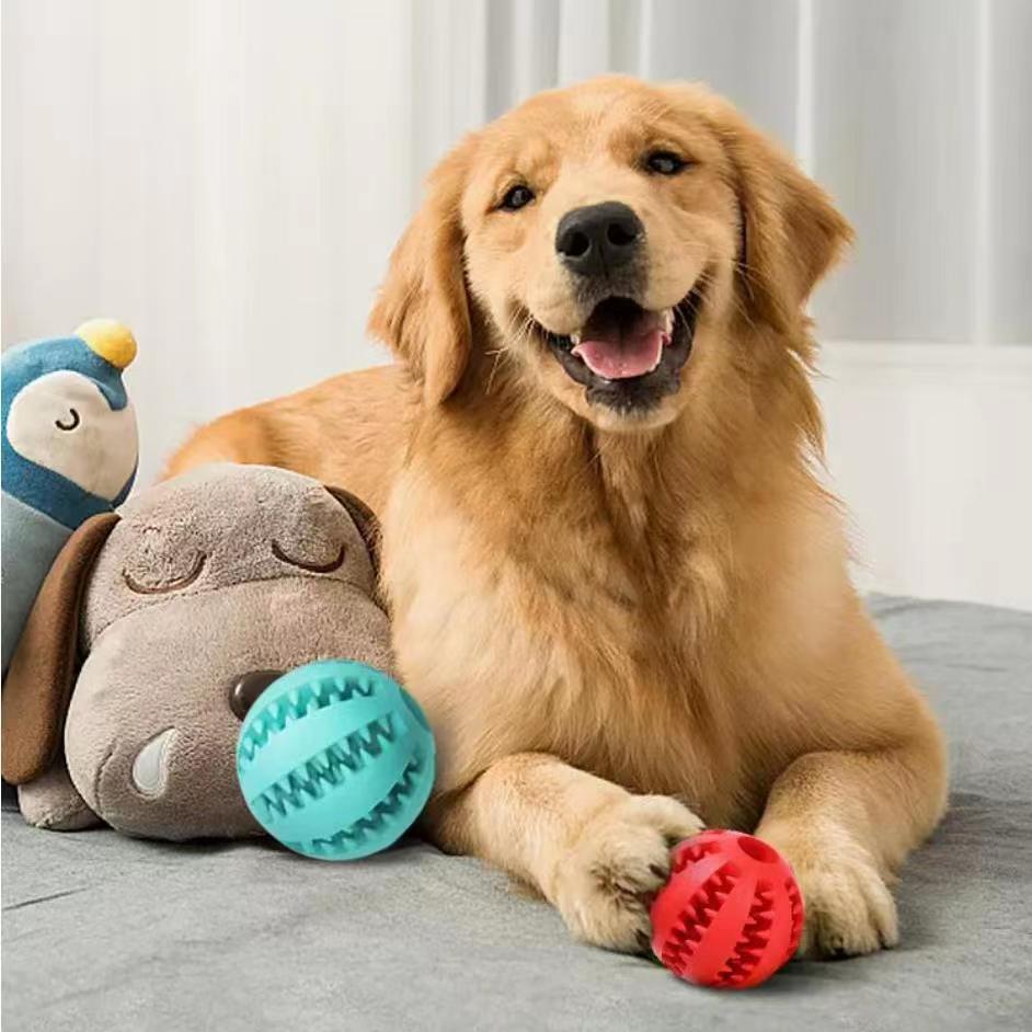 Petity Chew & Treat Ball