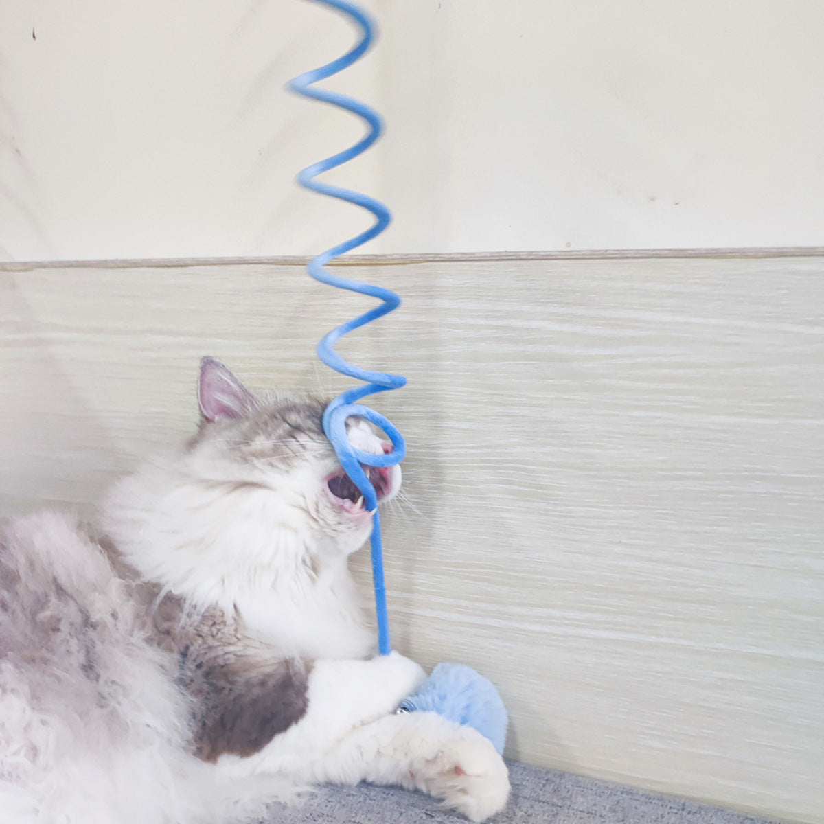 Petity Cat Spring Toy