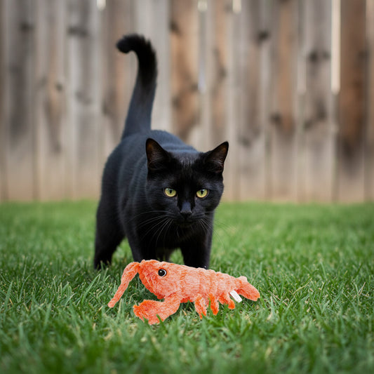 Petity Electric Jumping Shrimp USB Charging Interactive Cat Toy