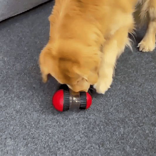 Petity Interactive Dog Tumbler Toy - Food Dispensing Puzzle Ball for Mental Stimulation