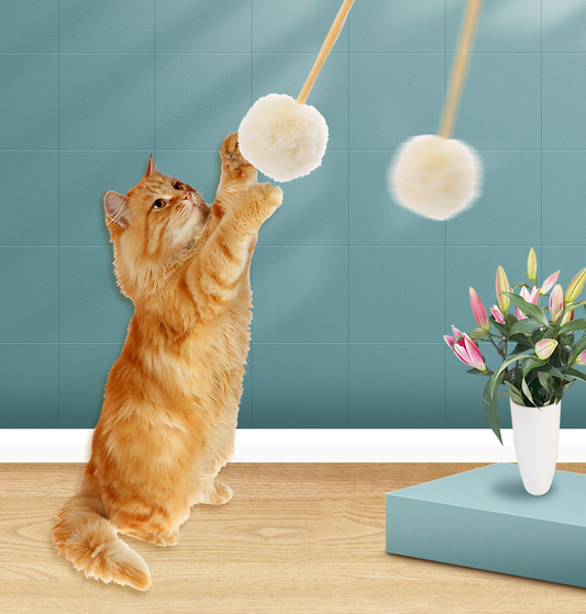 Petity Cat Spring Toy with Rabbit Fur Ball – Indoor Play & Exercise