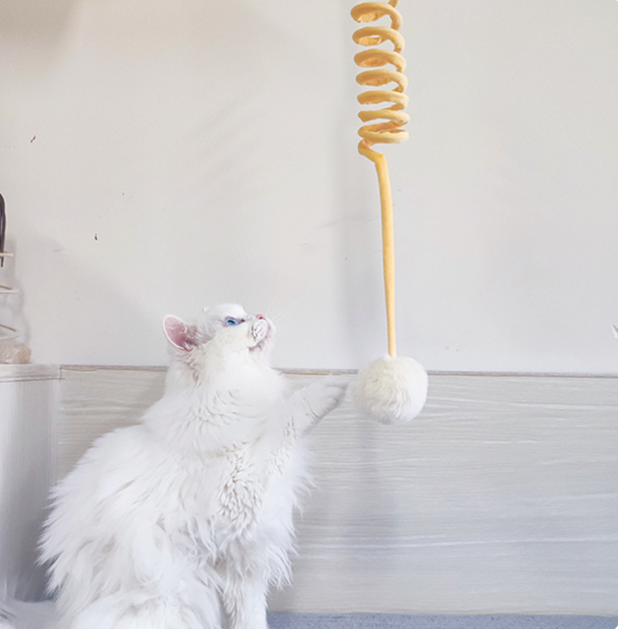 Petity Cat Spring Toy with Rabbit Fur Ball – Indoor Play & Exercise