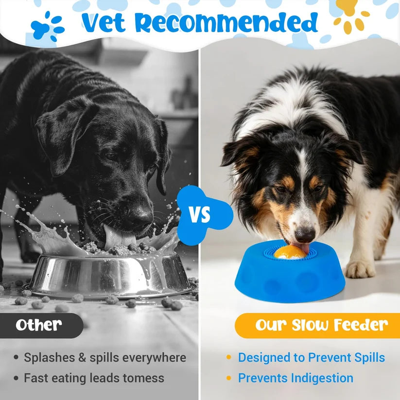 Petity SnackSpin Slow Feeder