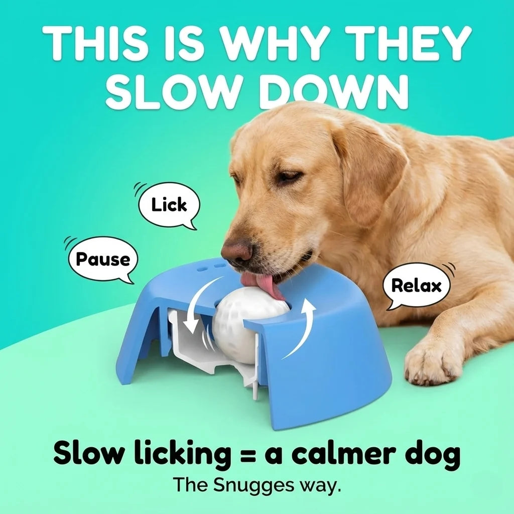 Petity SnackSpin