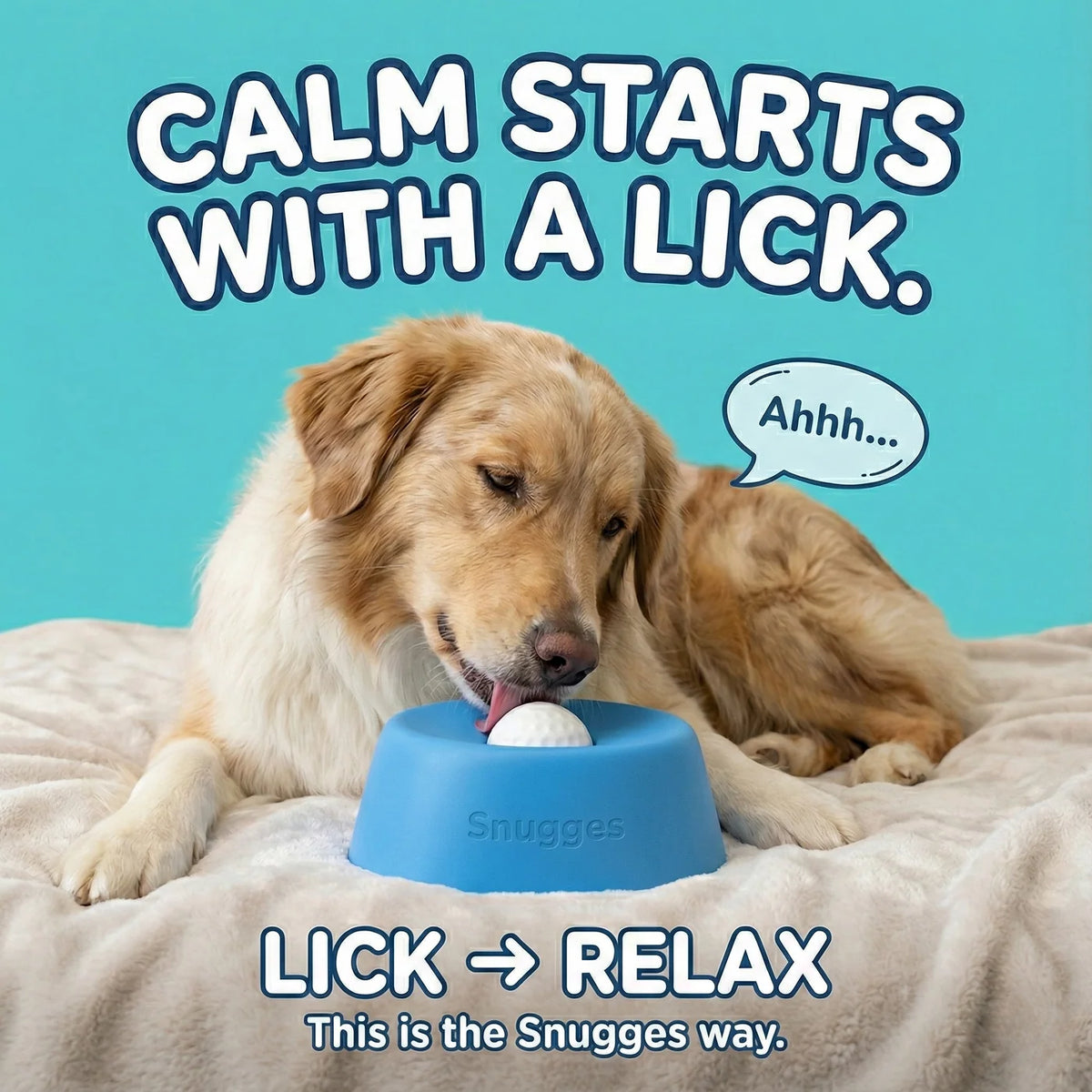 Petity SnackSpin